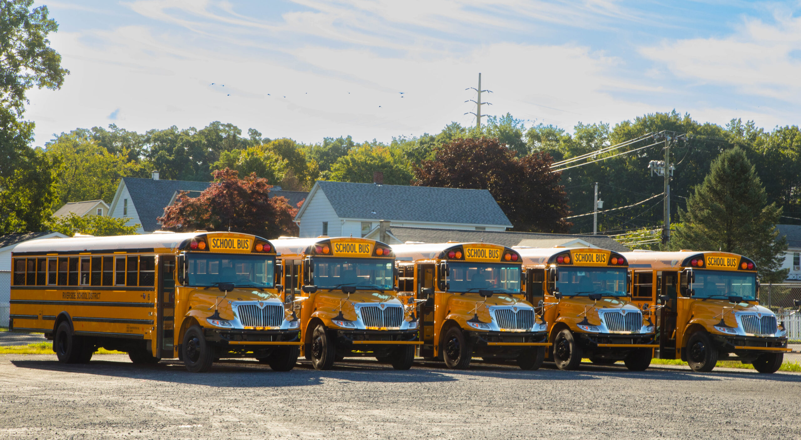 A line of five yellow buses side by side in a gravel lot.